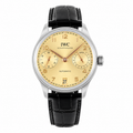 IWC Ingenieur 42mm Urban Resilience Planner Automatic Steel Watch