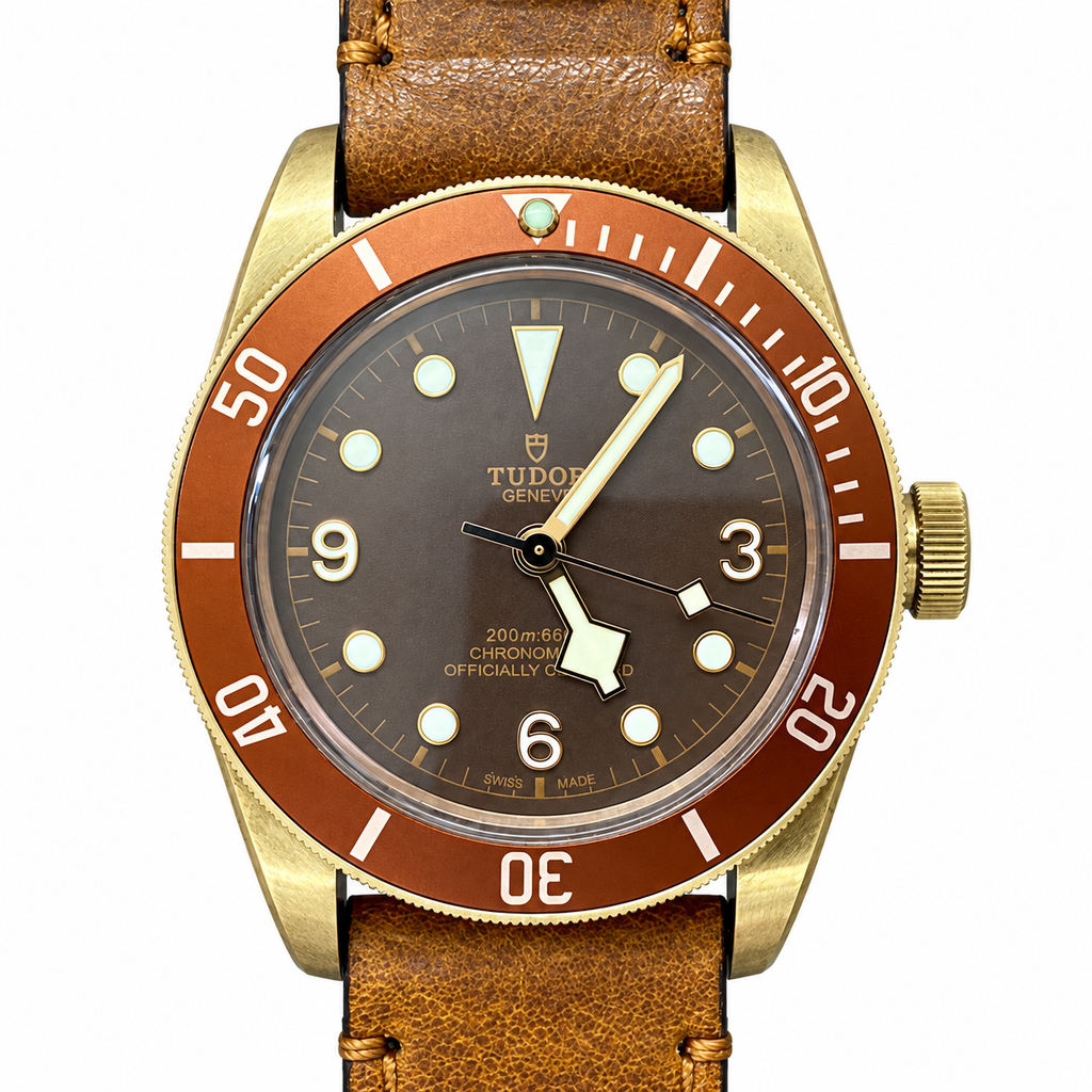 Tudor Black Bay 39mm Thinker Automatic Steel Watch